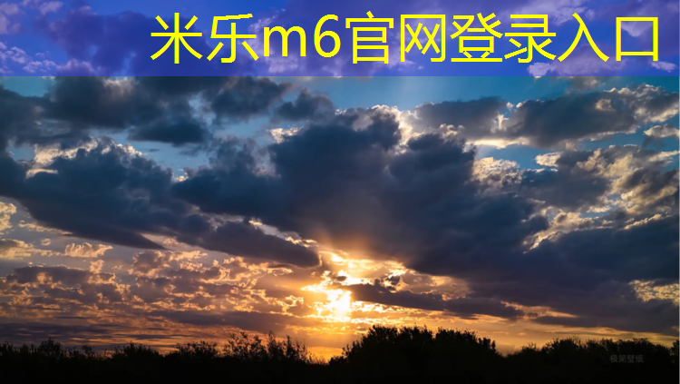 <strong>米乐为您介绍：平湖定制塑胶跑道</strong>