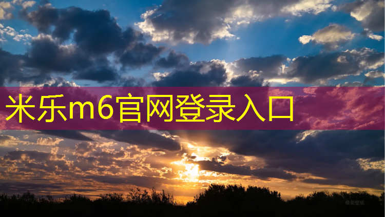<strong>米乐：江西塑胶跑道施工报价行情</strong>