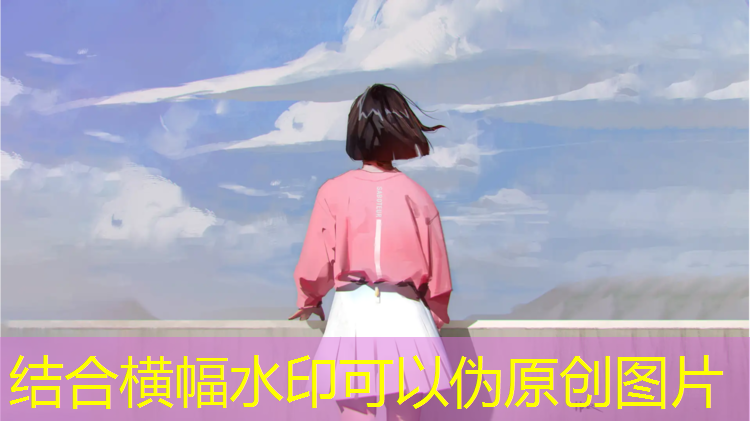 篮球体育生要练什么器材